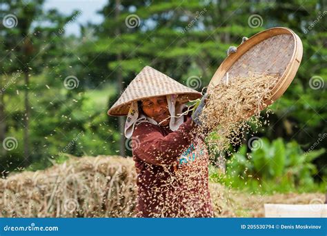  Experiences of an Indonesian Farmer: A Journey Through Seasons and Soil